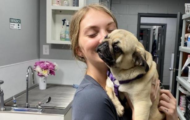 Tessa NWAEDD vet assistant